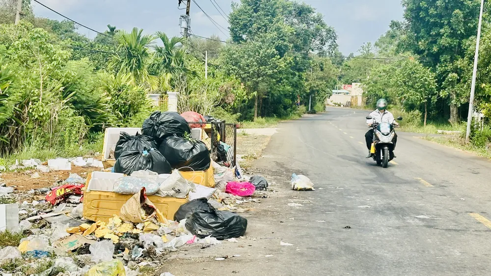 Bãi rác nhếch nhác ven đường