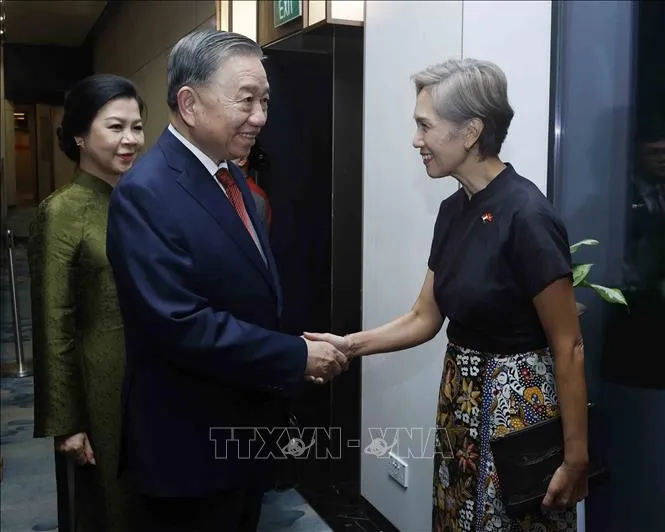 Lãnh đạo Singapore đón Tổng Bí thư, Chủ tịch nước Tô Lâm và Phu nhân tại sân bay Changi, Singapore. Ảnh: TTXVN