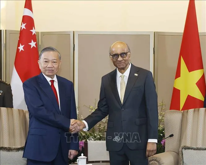 Ngay sau lễ đón, Tổng Bí thư, Chủ tịch nước Tô Lâm hội đàm với Tổng thống Singapore Tharman Shanmugaratnam. Ảnh: TTXVN