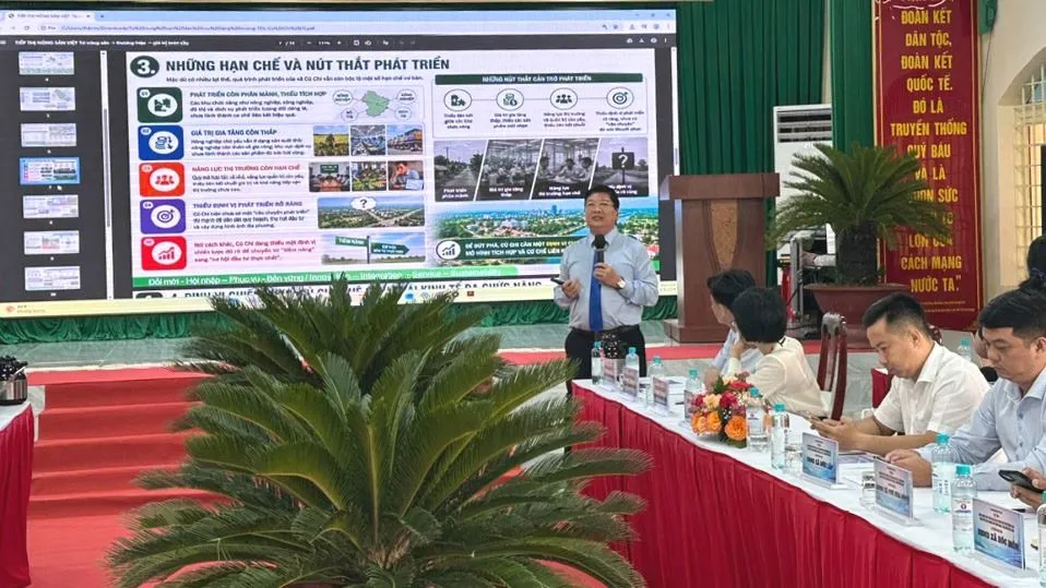 Chuyên gia trình bày tham luận tại Hội thảo định hướng phát triển xã Củ Chi trong cấu trúc không gian TPHCM đến năm 2040, tầm nhìn đến năm 2060. Ảnh: THANH HIỀN