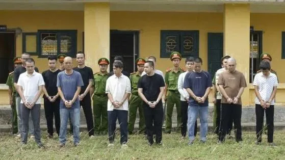 Các đối tượng bị lực lượng chức năng khởi tố, bắt giữ. Ảnh: QUANG VĂN