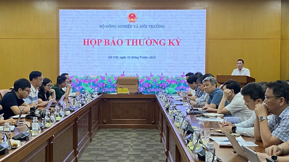 hop bao.jpg