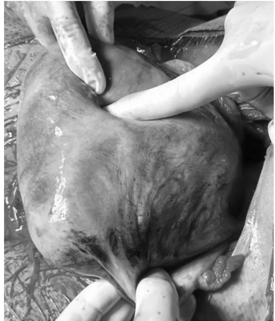 Ảnh màn hình 2024-12-30 lúc 21.04.56.png