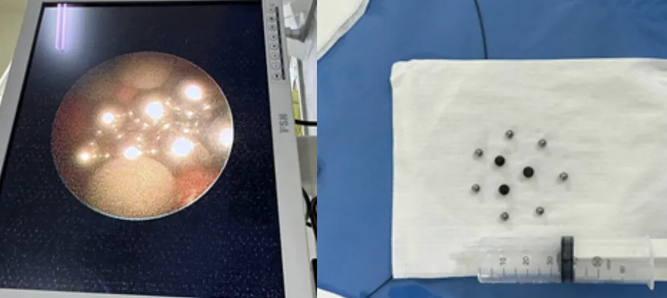 Ảnh màn hình 2025-01-26 lúc 12.26.55.png