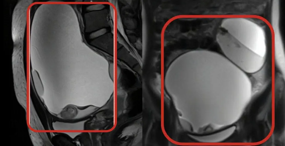 Ảnh màn hình 2026-01-06 lúc 08.26.00.png