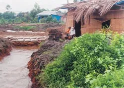 Lợi chưa thấy đâu...