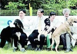 Chung quanh chuyện nhân bản tế bào mầm của Hwang Hoo-suk