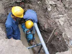 TPHCM mời Viện Nghiên cứu hạt nhân Đà Lạt khắc phục nước đục