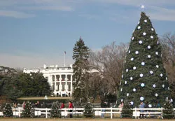 Siết chặt an ninh trong dịp Noel và Năm Mới