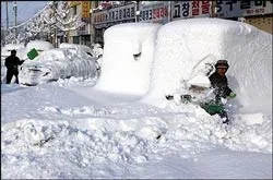 Bão tuyết dữ dội tiếp tục hoành hành tại Nhật Bản và Hàn Quốc