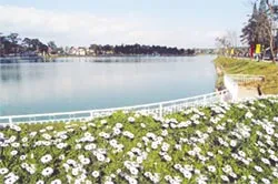 Đổi mới tư duy, cải cách hành chính để thu hút đầu tư