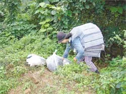 Đường 9 vào mùa… buôn lậu