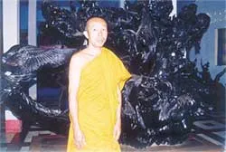 Người giữ hồn cổ thụ