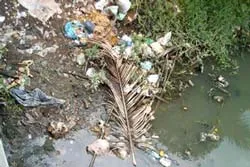 Phát triển kinh tế phải bảo vệ được môi trường