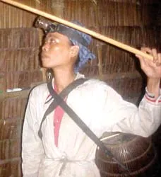 Săn tắc kè ảnh 2