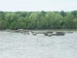 Chi ít nhất 1% ngân sách để bảo vệ môi trường