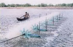 Tập trung xây dựng các khu kinh tế biên giới