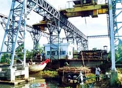 Kiến nghị cho nhập đường tinh luyện