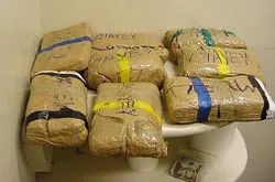 8 án tử hình và 9 án tù chung thân