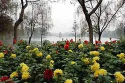 Người Việt Nam rất lạc quan về tương lai đất nước