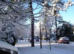 Châu Âu đón năm mới trong gía lạnh