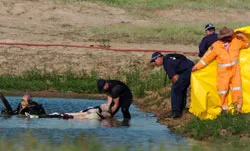 Rớt máy bay và cháy kho hàng