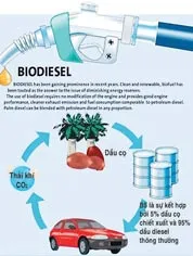 Sử dụng thử nhiên liệu sinh học B5