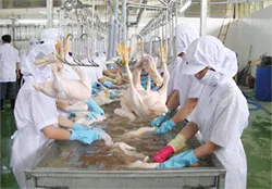 Chưa phải tất cả đều an toàn