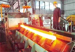 Năm 2006, lấy xuất khẩu làm mục tiêu và thước đo hội nhập