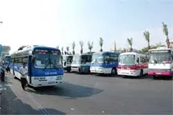 Bắt đầu bán vé xe đò Tết Bính Tuất