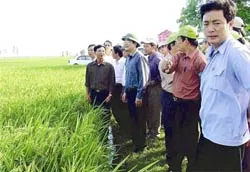 Gần 10 triệu hộ nông dân được vay vốn ngân hàng