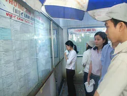 Trên 5.000 việc làm Tết dành cho sinh viên