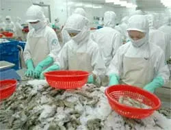 Kim ngạch xuất khẩu thủy sản sẽ đạt 4 tỷ USD