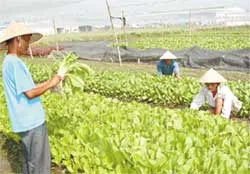 Trăn trở chuyển nghề