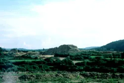 Bài 1: Tơi tả đất vàng ảnh 2