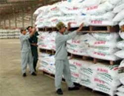 Doanh nghiệp không nên nhập khẩu thêm phân bón