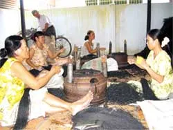 Cầu nối giảm nghèo