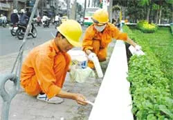 Trang điểm phố phường đón Tết