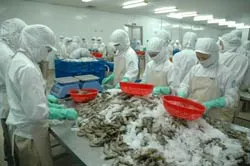 Không đáp ứng đủ nhu cầu