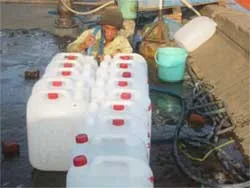 Nhiều đảo thiếu nước ngọt