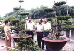 Rực rỡ và hấp dẫn ngàn sắc hoa!