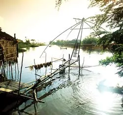 Làm “nhà” cho tôm sú