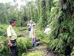 Sắc màu U Minh Thượng ảnh 2