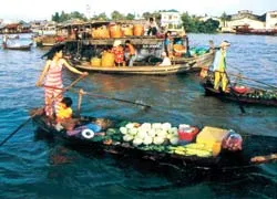 Dọc đường chợ quê