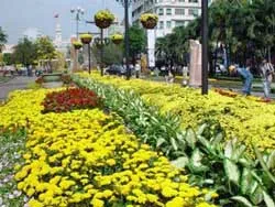 Ra mắt "Đường hoa Nguyễn Huệ"