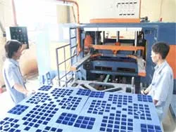 Lấy lại nhãn hiệu “made in Việt Nam”