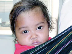 Góp xuân cho đời