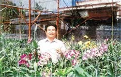 Người “yêu” hoa lan