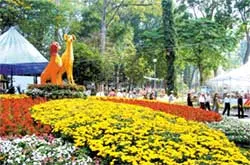 Hoa kiểng lên sàn đấu giá từ thiện