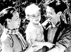 Ngô Y Linh, tài hoa nghệ sĩ ảnh 2